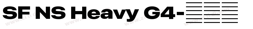 SF NS Heavy G4字体转换 SF NS Heavy G4字体转换